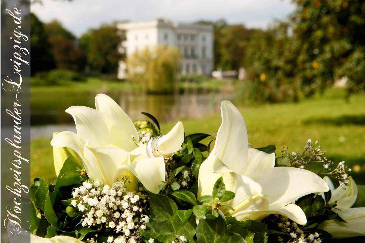 Fotograf Hochzeit Markkleeberg (Hochzeitsfoto Trauringe)