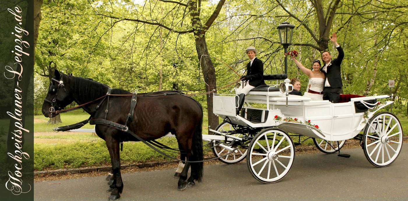 Weie Pferdekutsche zur Hochzeit in Machern